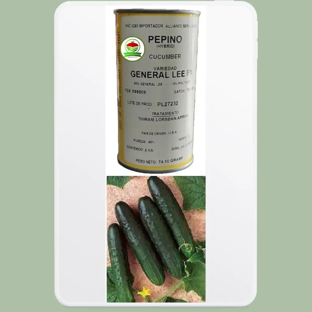 Pepino General Lee F1