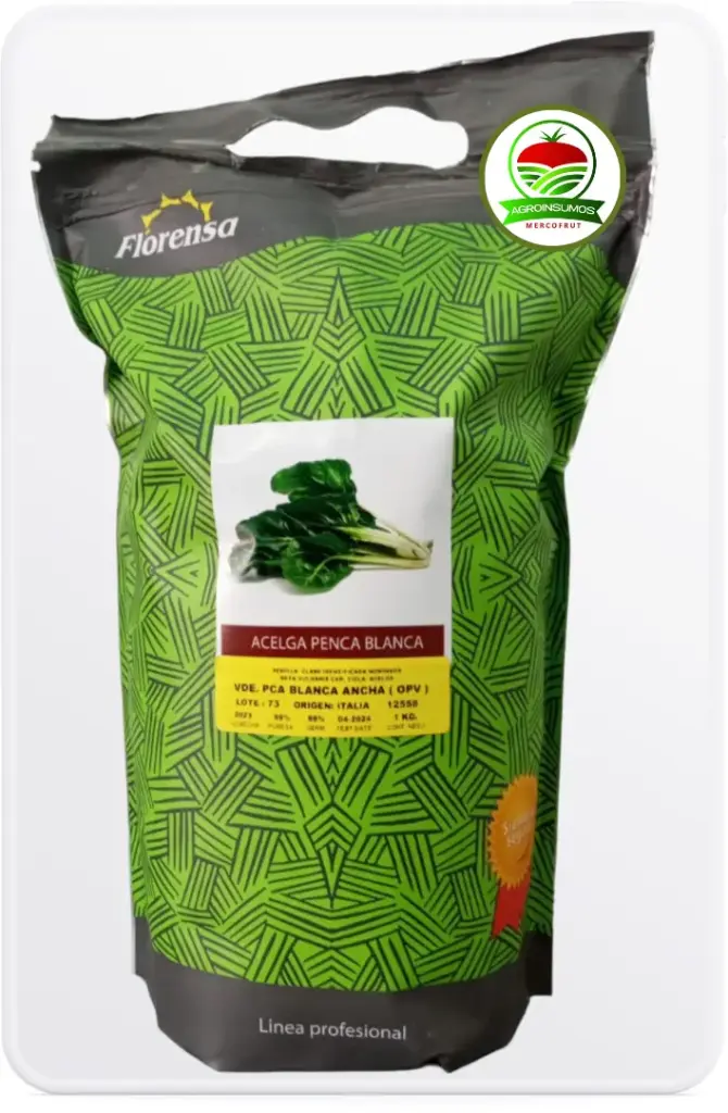 Acelga Penca Blanca
