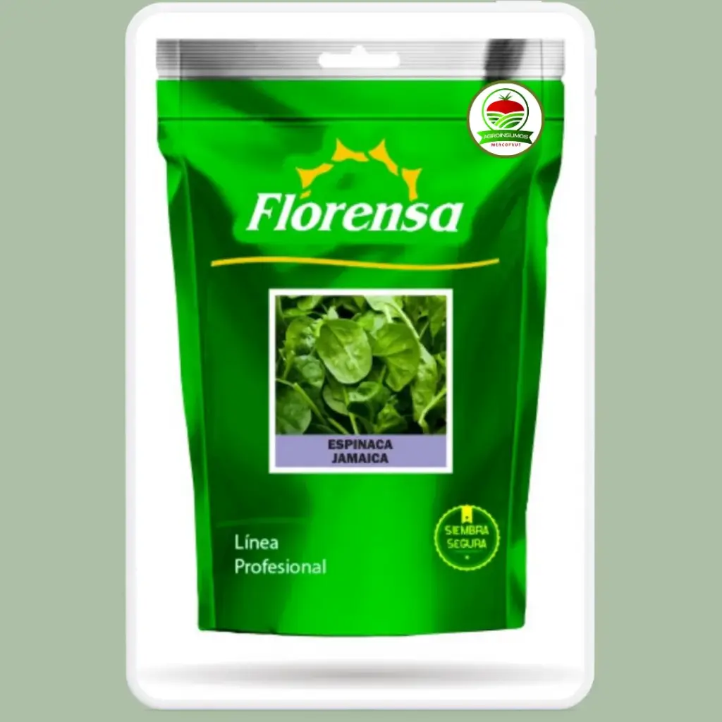 Espinaca Jamaica