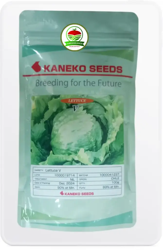 Lechuga V, Marca Kaneko Seeds