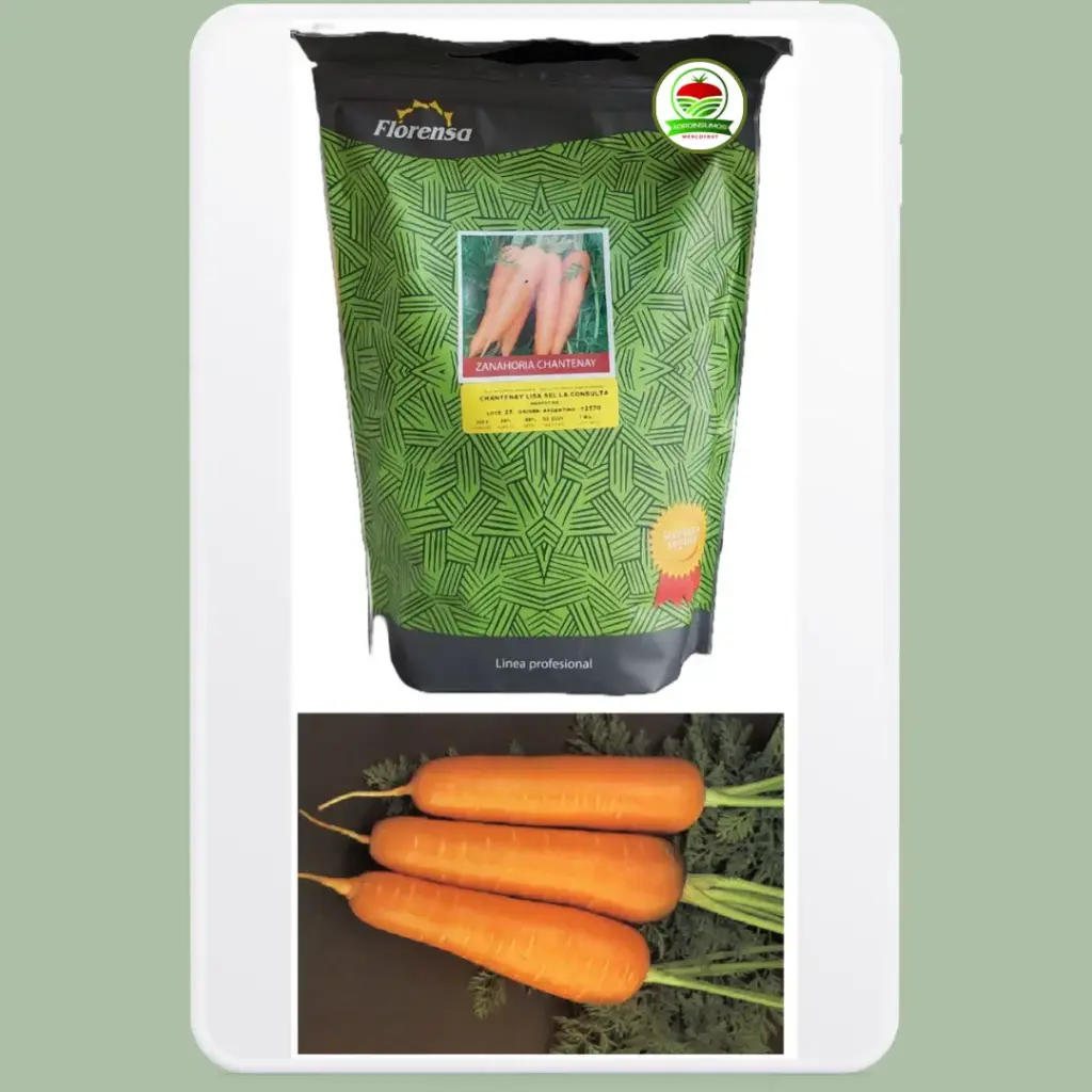 Zanahoria Chantenay