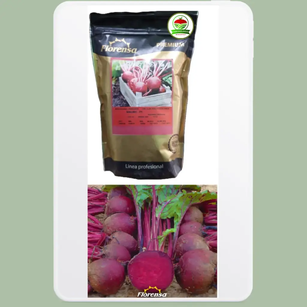 Remolacha Híbrida Malbec F1