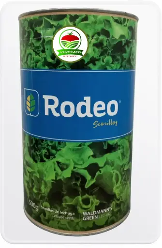 Lechuga Waldmnn´s Green Invierno