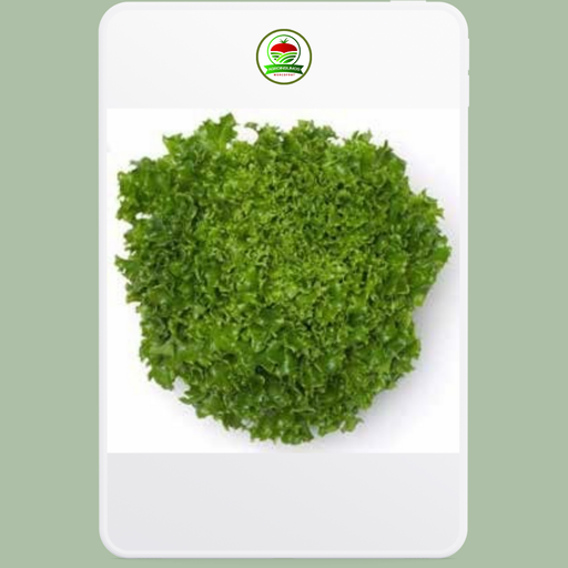 Lechuga Multigreen