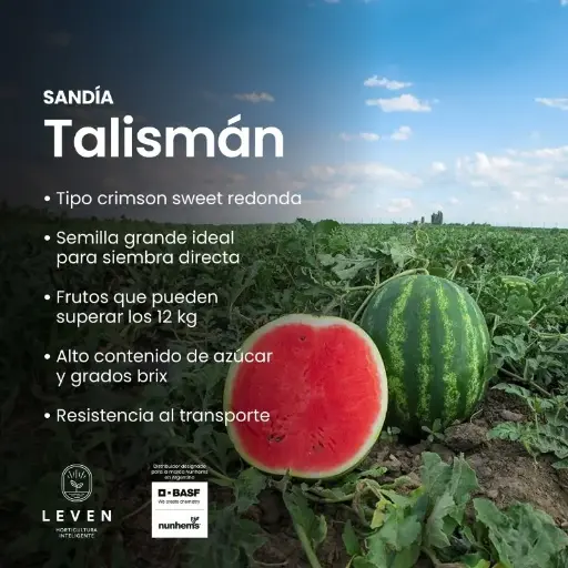 Sandía Talisman
