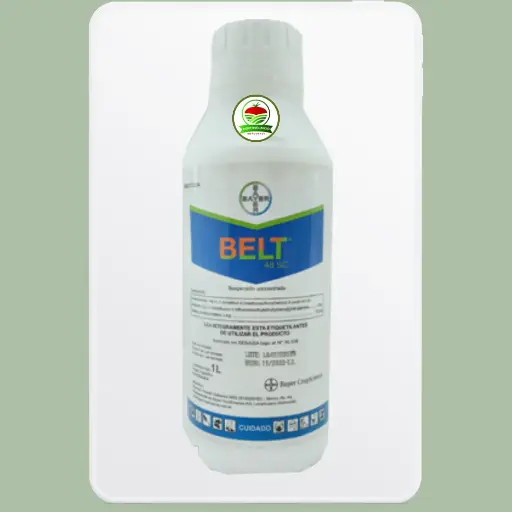 Belt 1 Litro