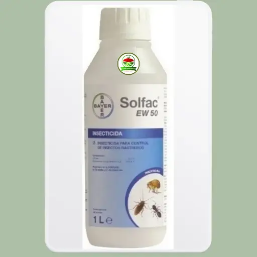 Solfac