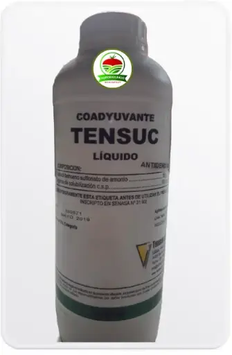 Tensuc