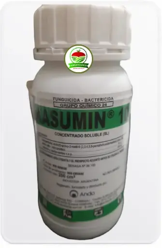 KASUMIN 10  200Cm3 ANDO bactericida