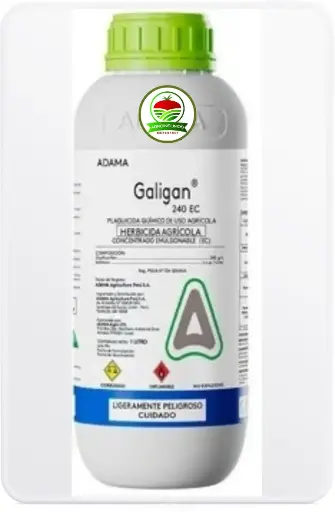 Galigan 1 Litro