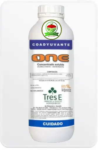 One