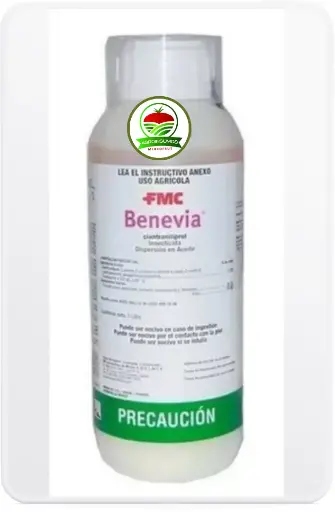 Benevia 250cm3 - Cyantraniliprole 10%