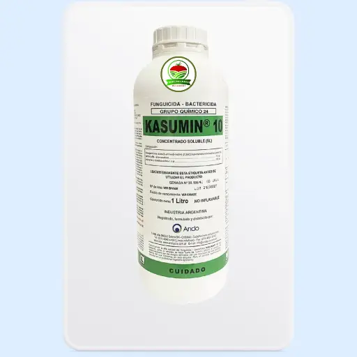 KASUMIN 10 ANDO bactericida
