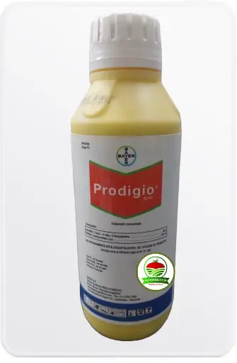 Prodigio 60 SC