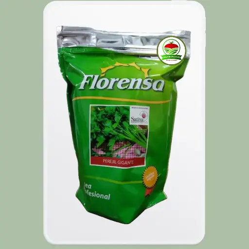 Perejil Gigante de Italia Florensa