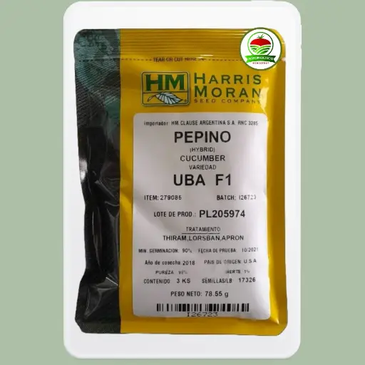 Pepino UBA F1