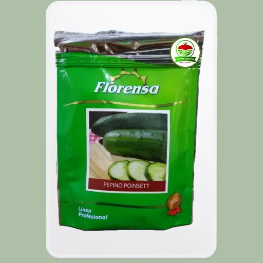 Pepino Pionset