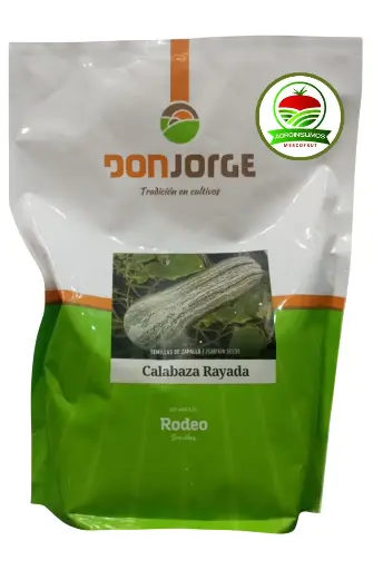 Calabaza Rayada Rodeo