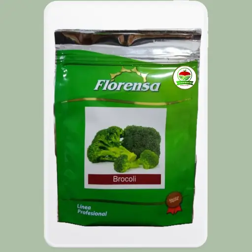 Brocoli Cicco
