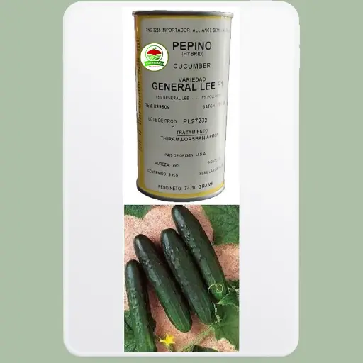 Pepino General Lee F1