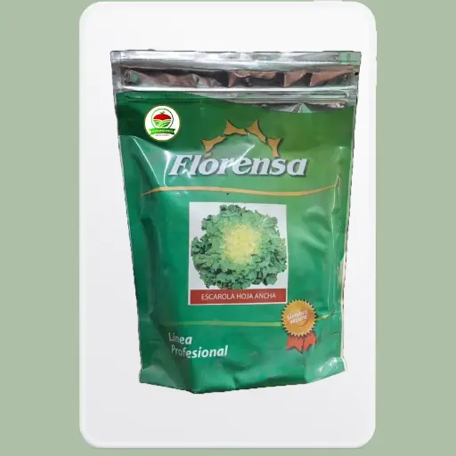 Escarola Hoja Ancha