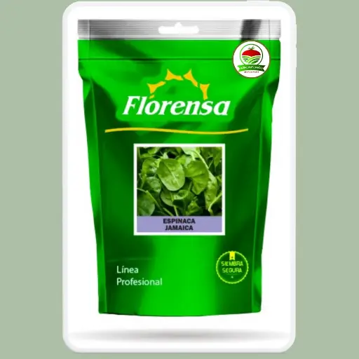 Espinaca Jamaica