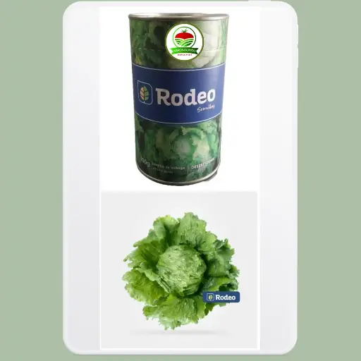Lechuga Storm