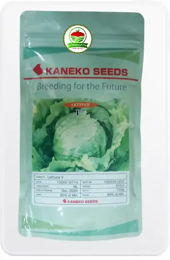 Lechuga V, Marca Kaneko Seeds